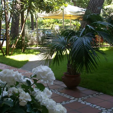 Sylvia Otel Lido di Camaiore